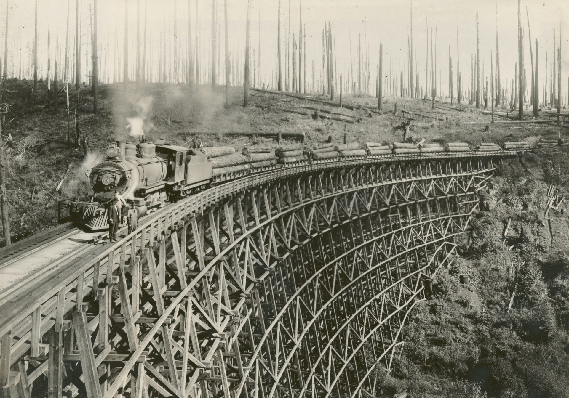 grayscale photography of train